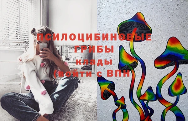 хмурый Семилуки