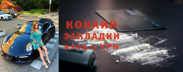 хмурый Семилуки